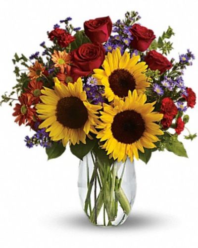 <div class="m-pdp-tabs-description">
<div id="mark-1" class="m-pdp-tabs-marketing-description">
<hr />
Pure happiness is what this pretty bouquet delivers - whether you're sending it for a fall birthday, Thanksgiving, thank you, or simply just because. Surely, no one can be in the presence of something so inherently happy and not smile.
</div>
</div>
<p id="arrngDescp">Sunny sunflowers, red roses and miniature carnations, bronze daisy spray chrysanthemums, large lavender monte cassino asters and autumn greens are beautifully arranged in a clear glass vase.</p>