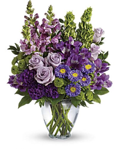 <div id="mark-3" class="m-pdp-tabs-marketing-description">Charmed, I'm sure! Win their hearts with this winsome bouquet of luxurious lavender blooms and delightful bells of Ireland, hand-delivered in a graceful glass vase.</div>
<div id="desc-3">
<ul>
<li>This lovely bouquet features lavender roses, purple alstroemeria, purple carnations, lavender matsumoto asters, green button spray chrysanthemums, lavender snapdragons, bells of Ireland, huckleberry and lemon leaf.</li>
<li>Delivered in a clear glass vase.
<hr />
</li>
</ul>
</div>